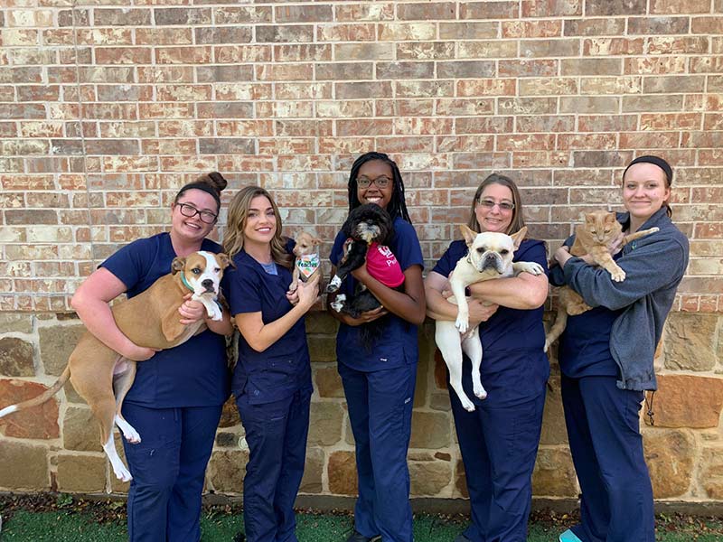 Rockwall Veterinary Careers